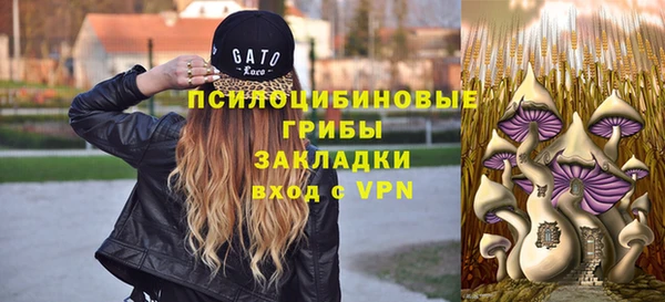 каннабис Аркадак