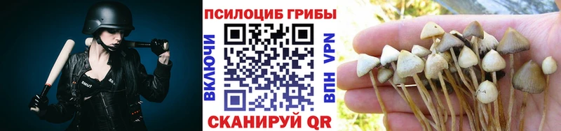 MEGA зеркало  Мичуринск  Галлюциногенные грибы Magic Shrooms  купить  